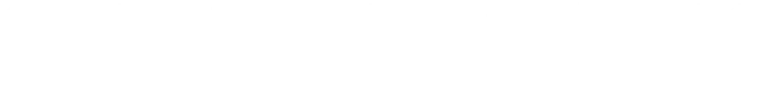 Optic Marketing Group Logo White